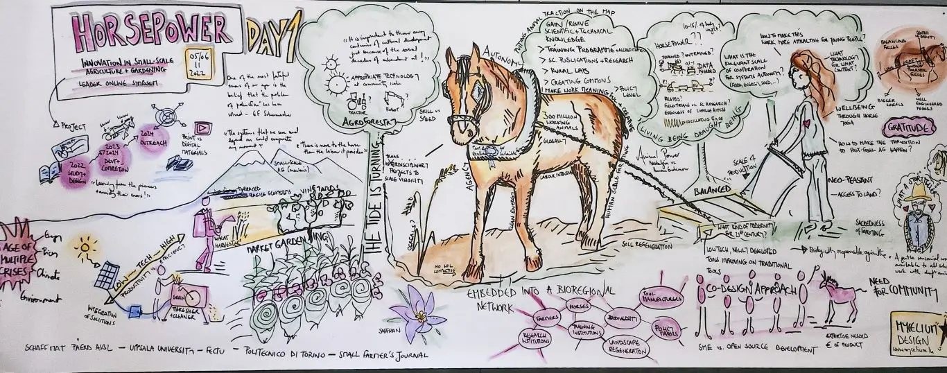 Wide hand-drawn graphic recording of Horsepower Day, with a working horse at its centre