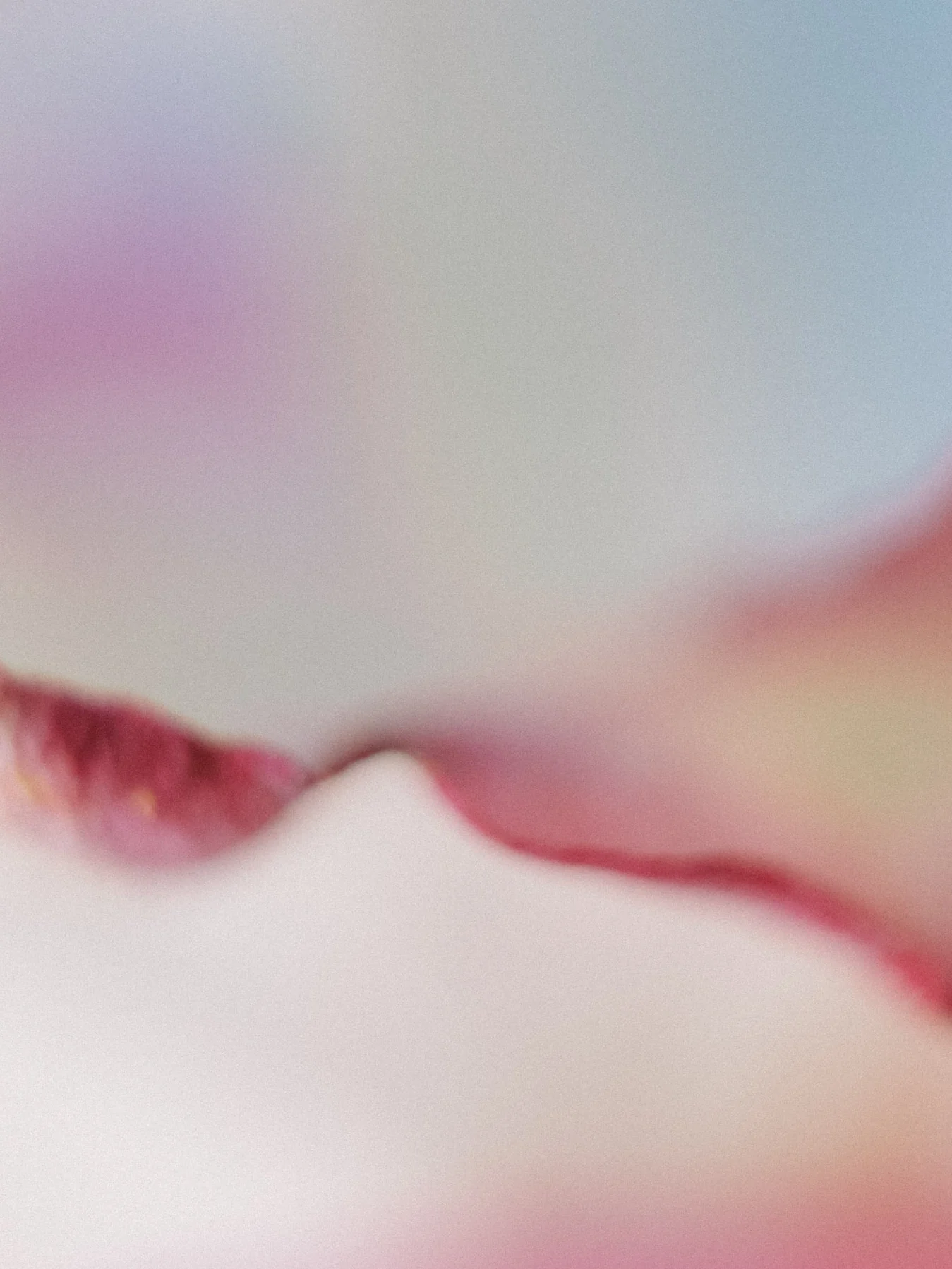 Soft, blurred close-up photograph in lilac, pale blue and a band of deep pink